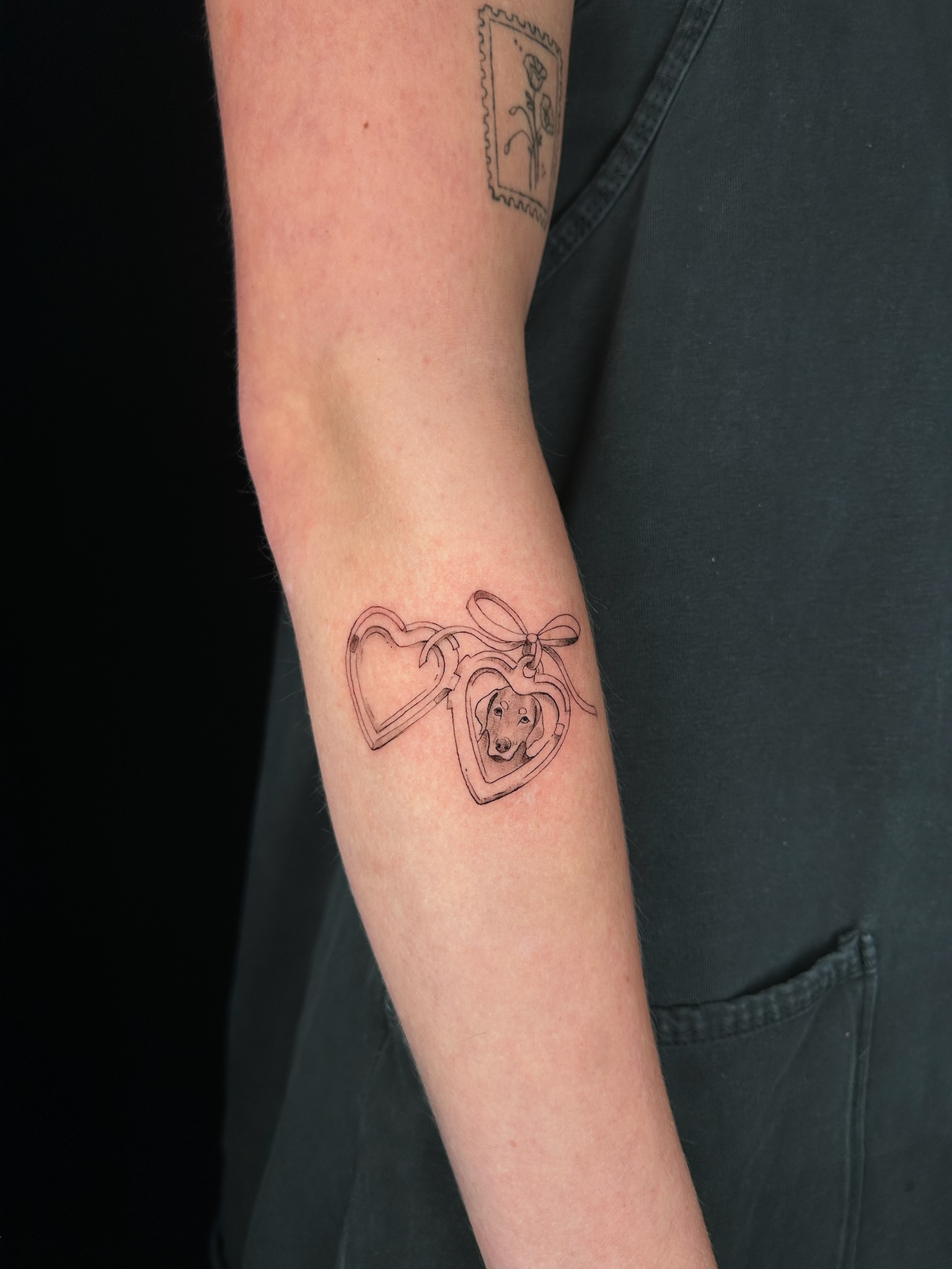 bg fineline illustrative doglocket