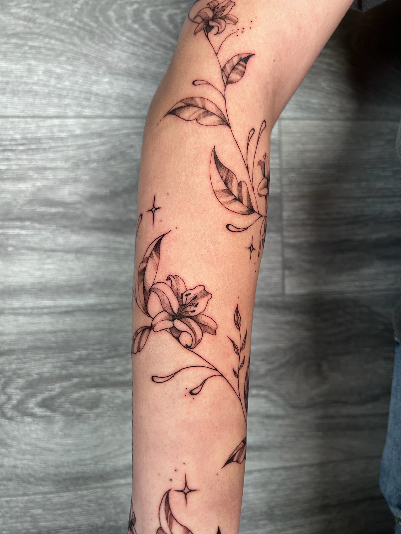 bg fineline illustrative flowervine2