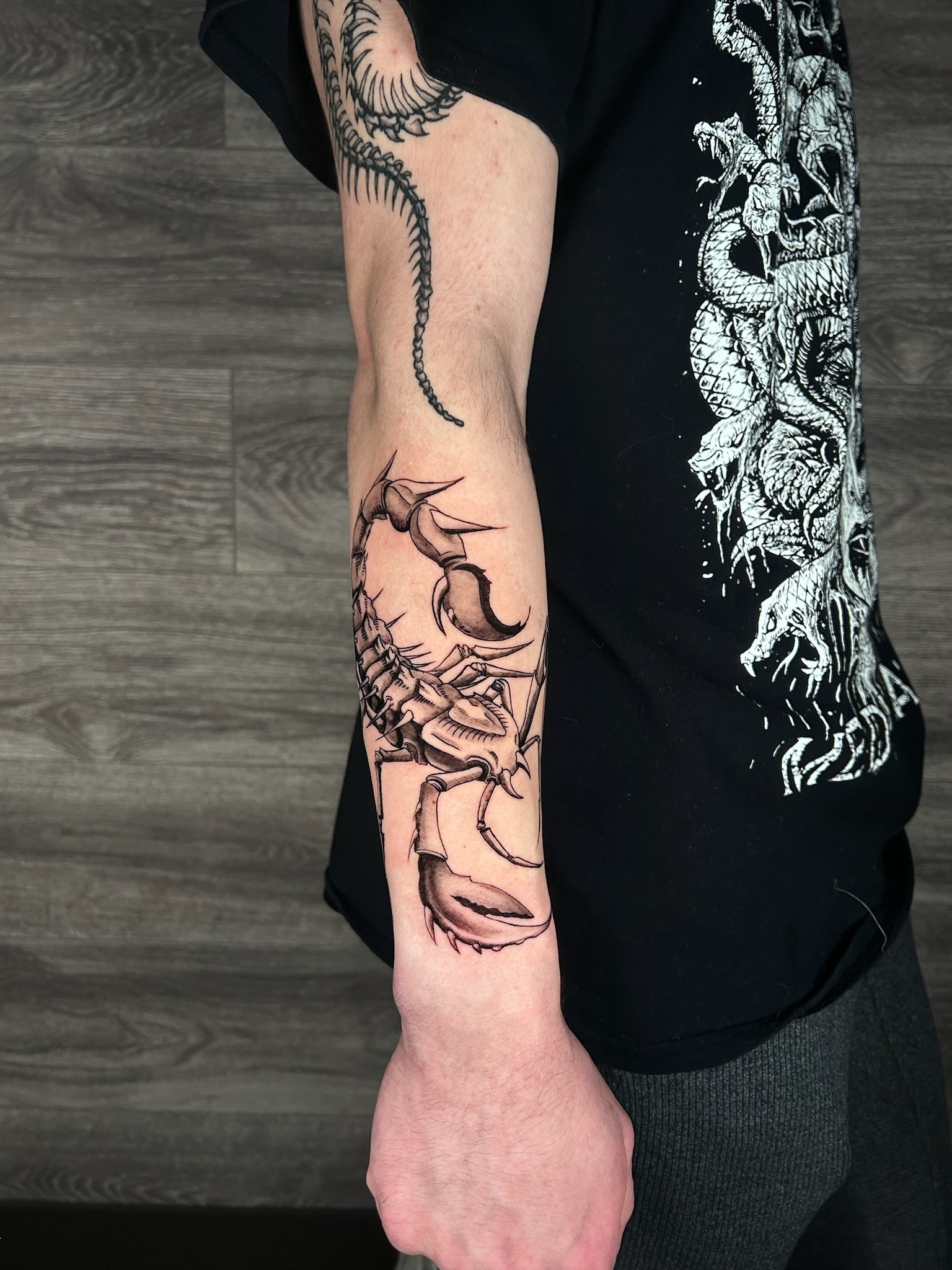 bg surrealism scorpion2