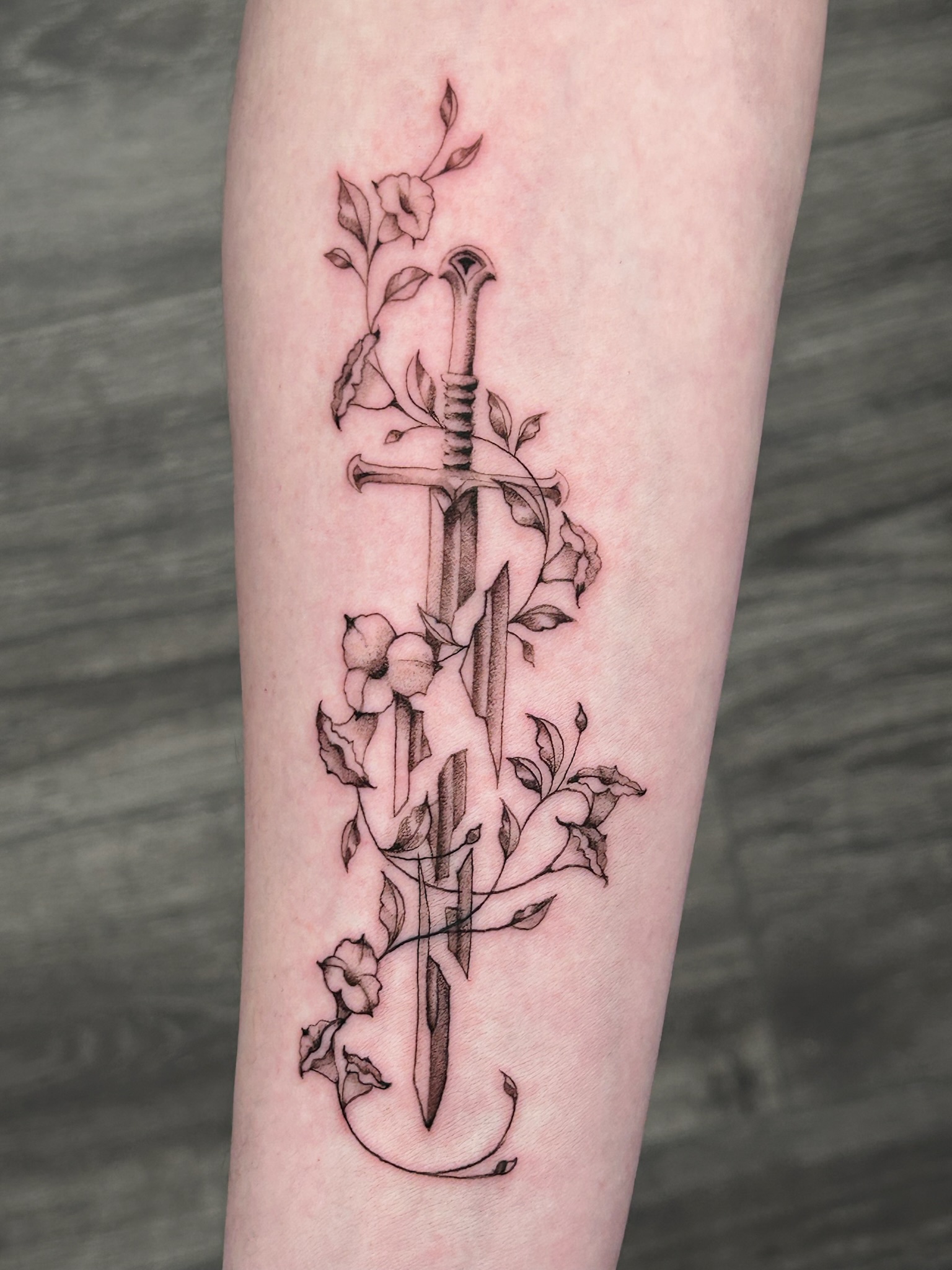 bg fineline illustrative lotrsword