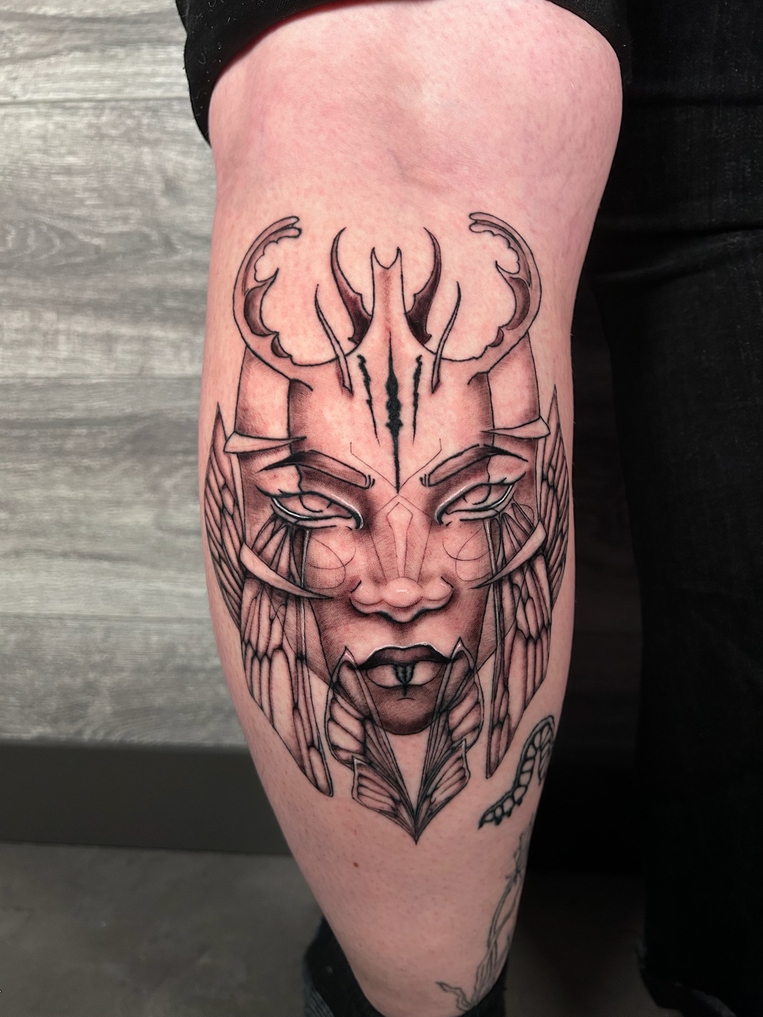 bg surrealism illustrative butterflywingswomanportrait