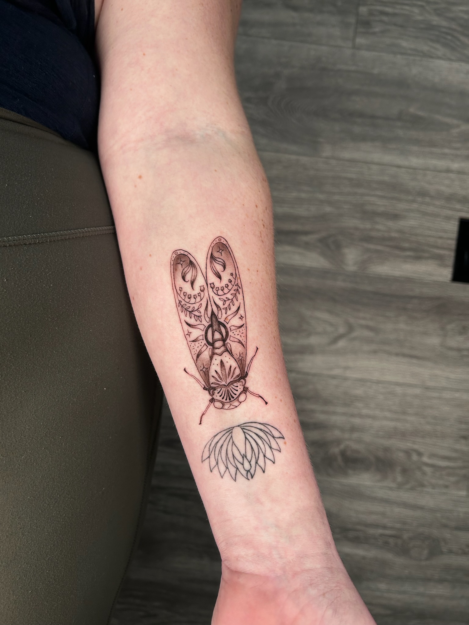 bg fineline ornamental beetle