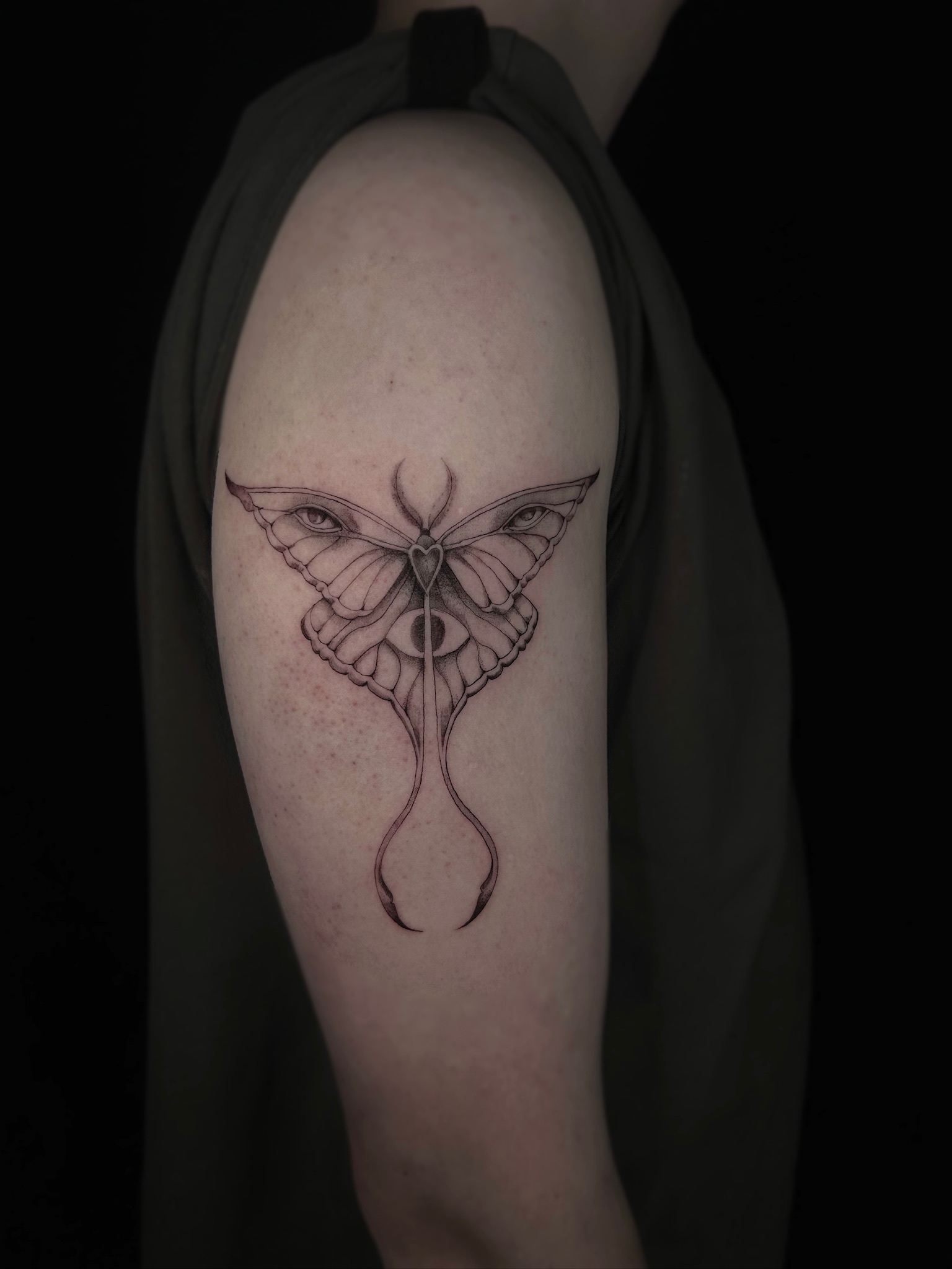 bg surrealism fineline moth