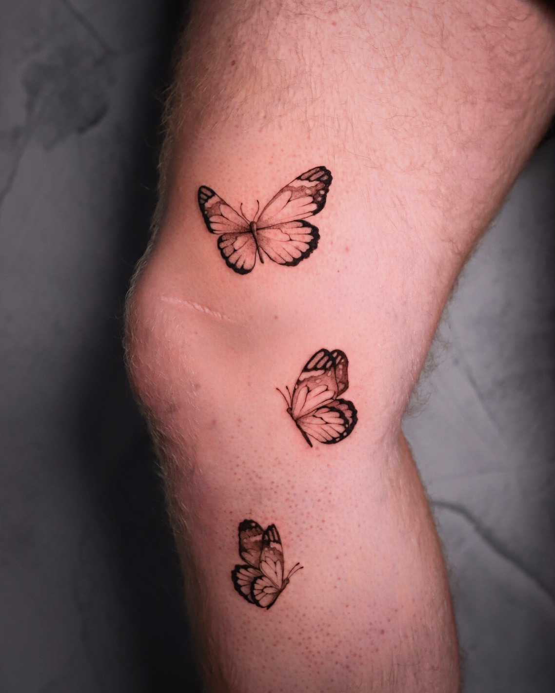 bg fineline realism butterflies