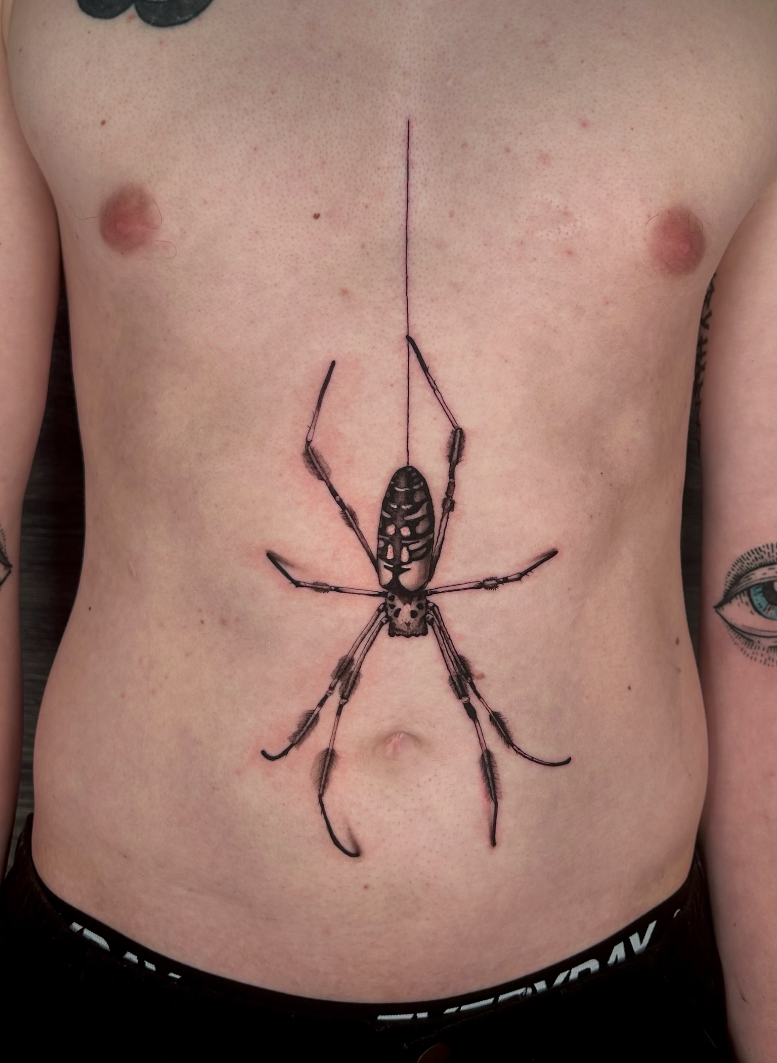 bg fineline realism spider