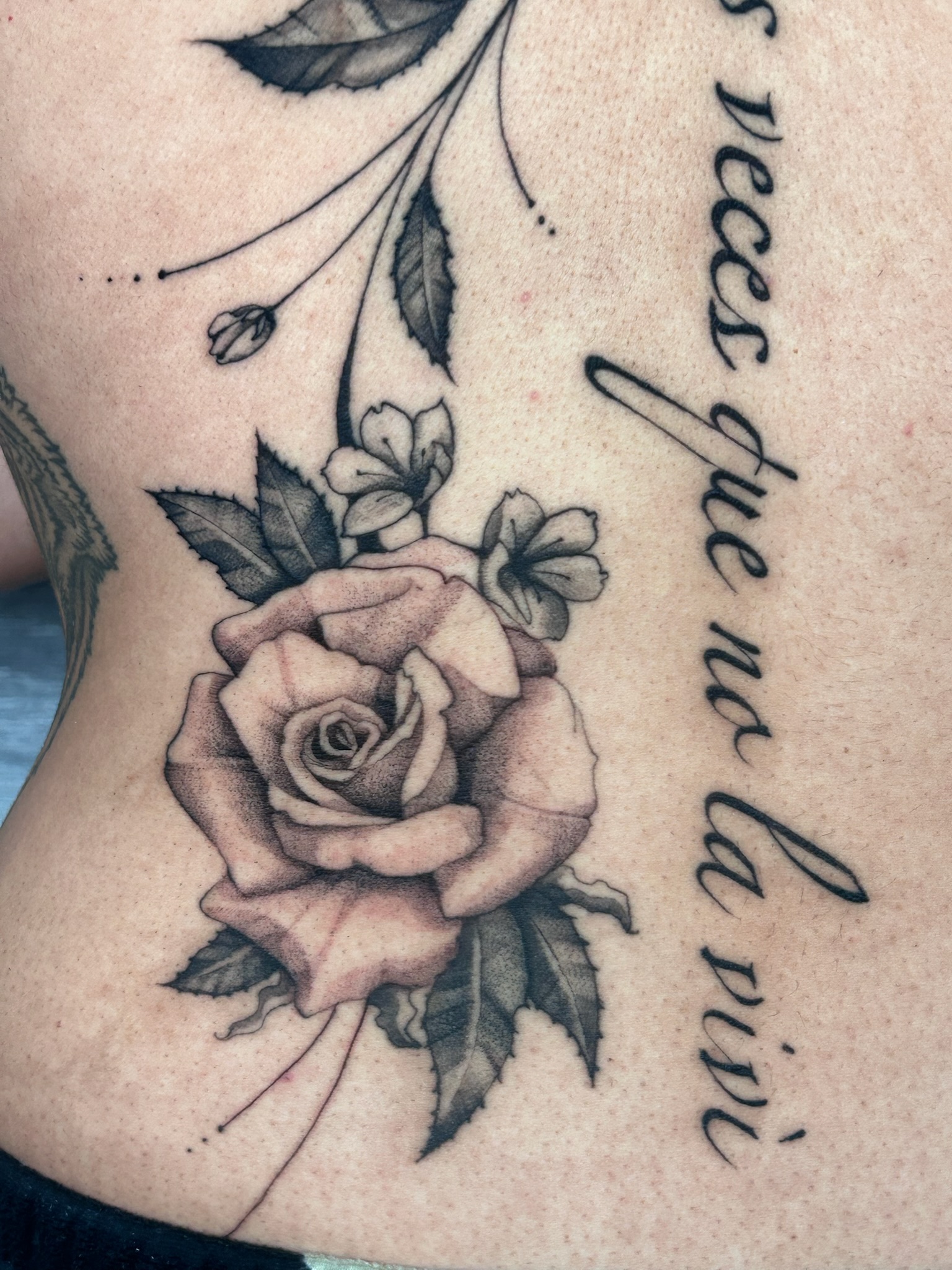 bg realism script spinequoteandroses2