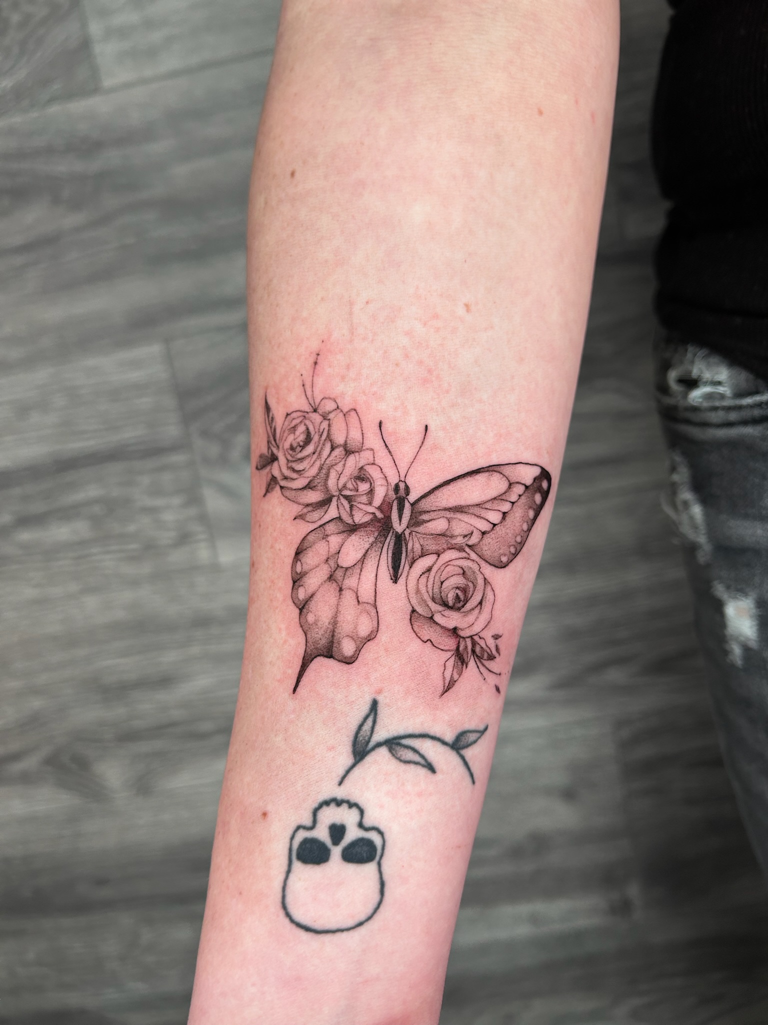 bg illustrative realism butterflyflower