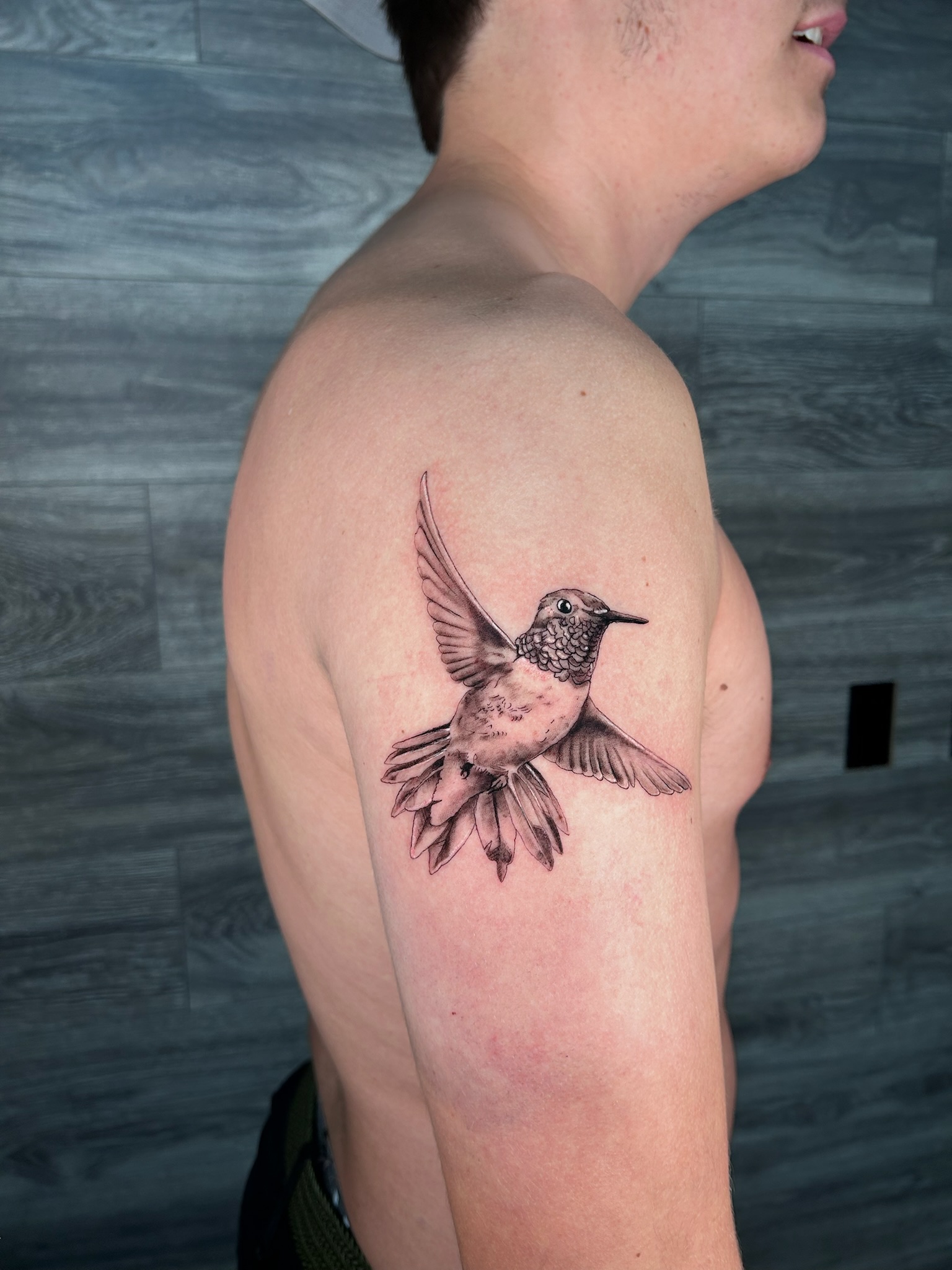 bg realism hummingbird