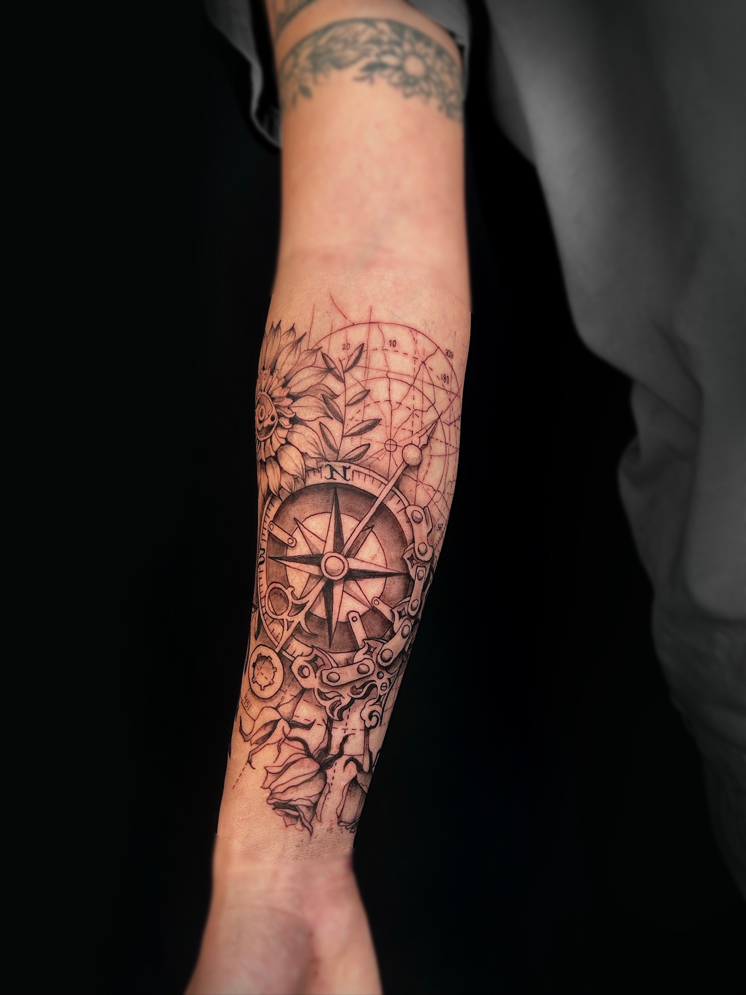 bg illustrative realism compassandflying