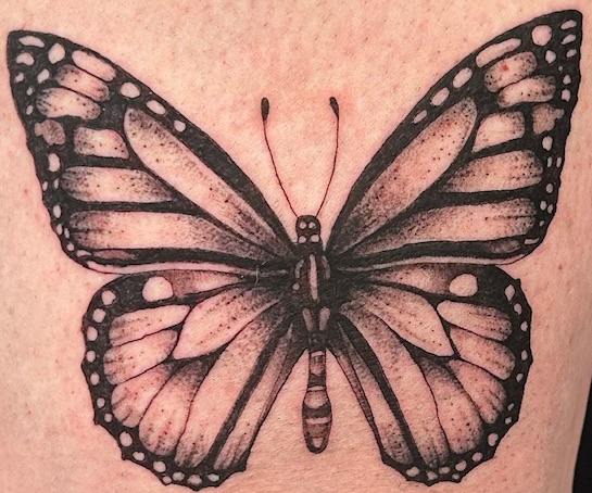 bg realism butterfly email