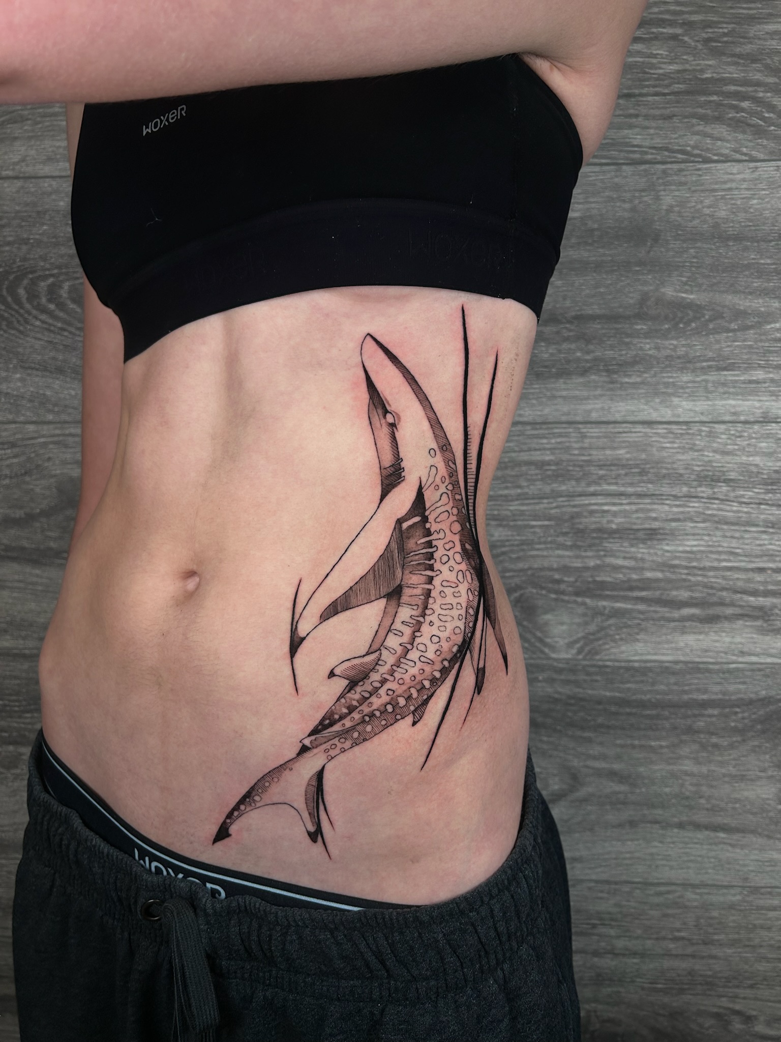 bg new-realism whaleshark