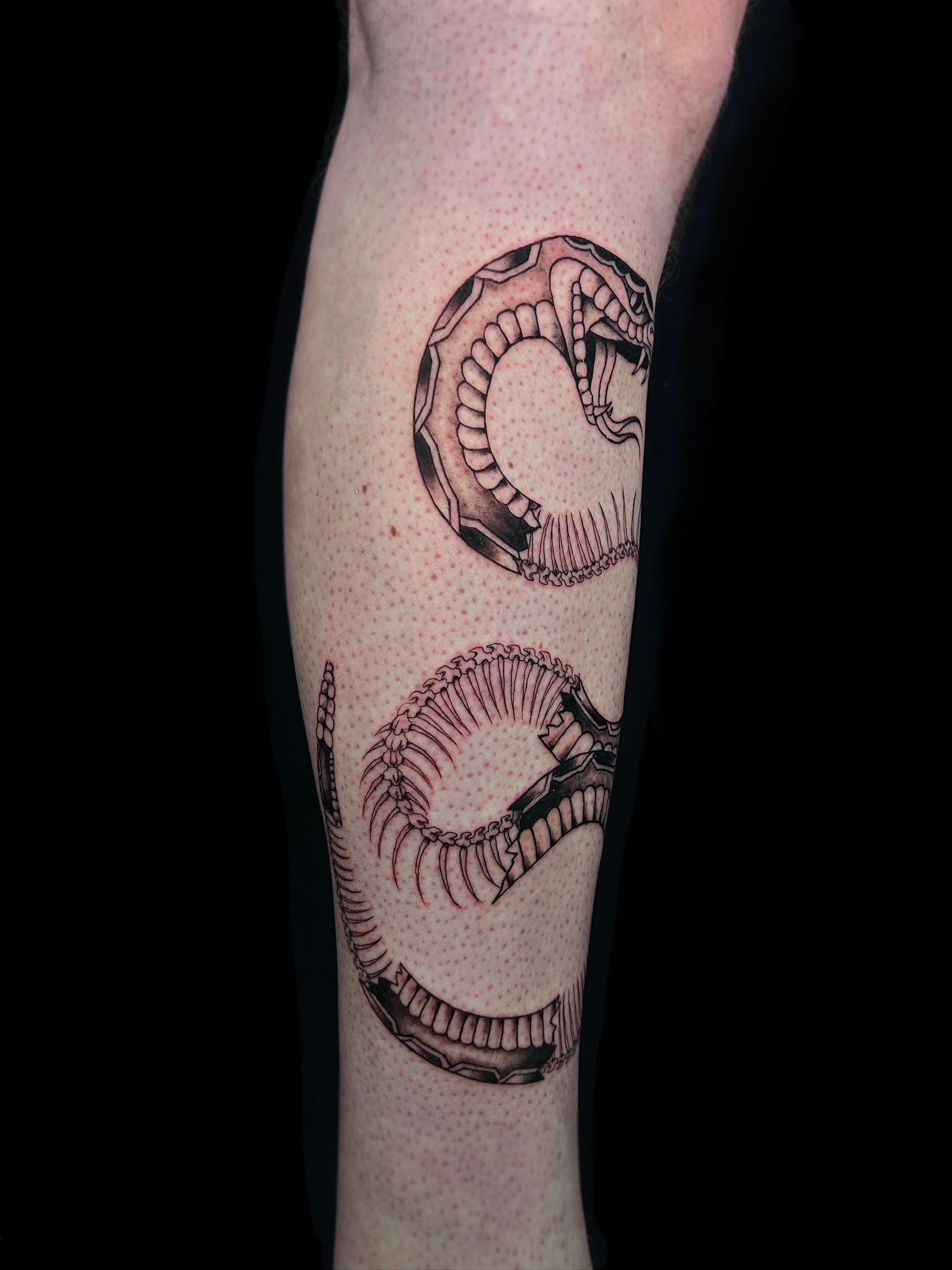 bg neo-traditional snake2