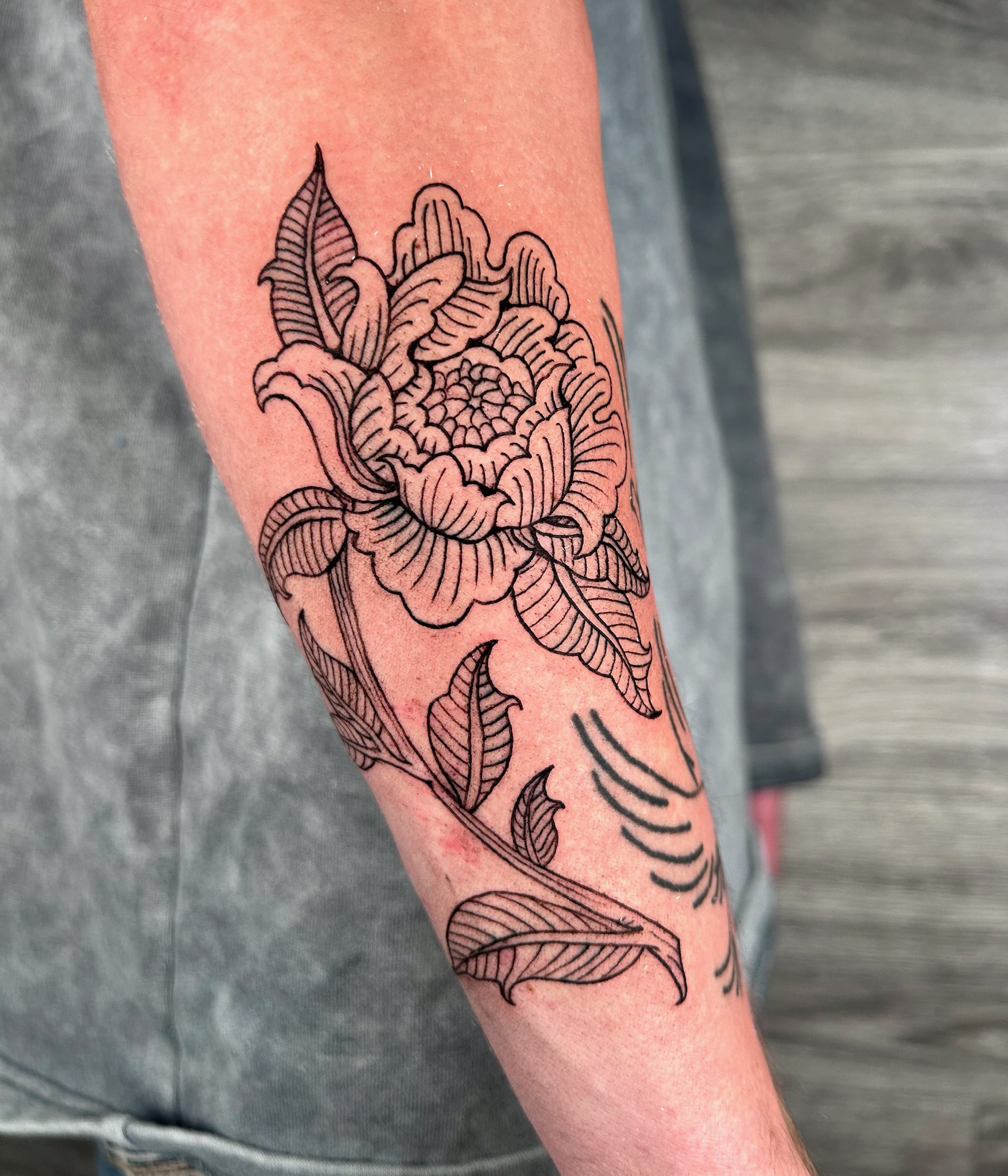 bg linework illustrative flower