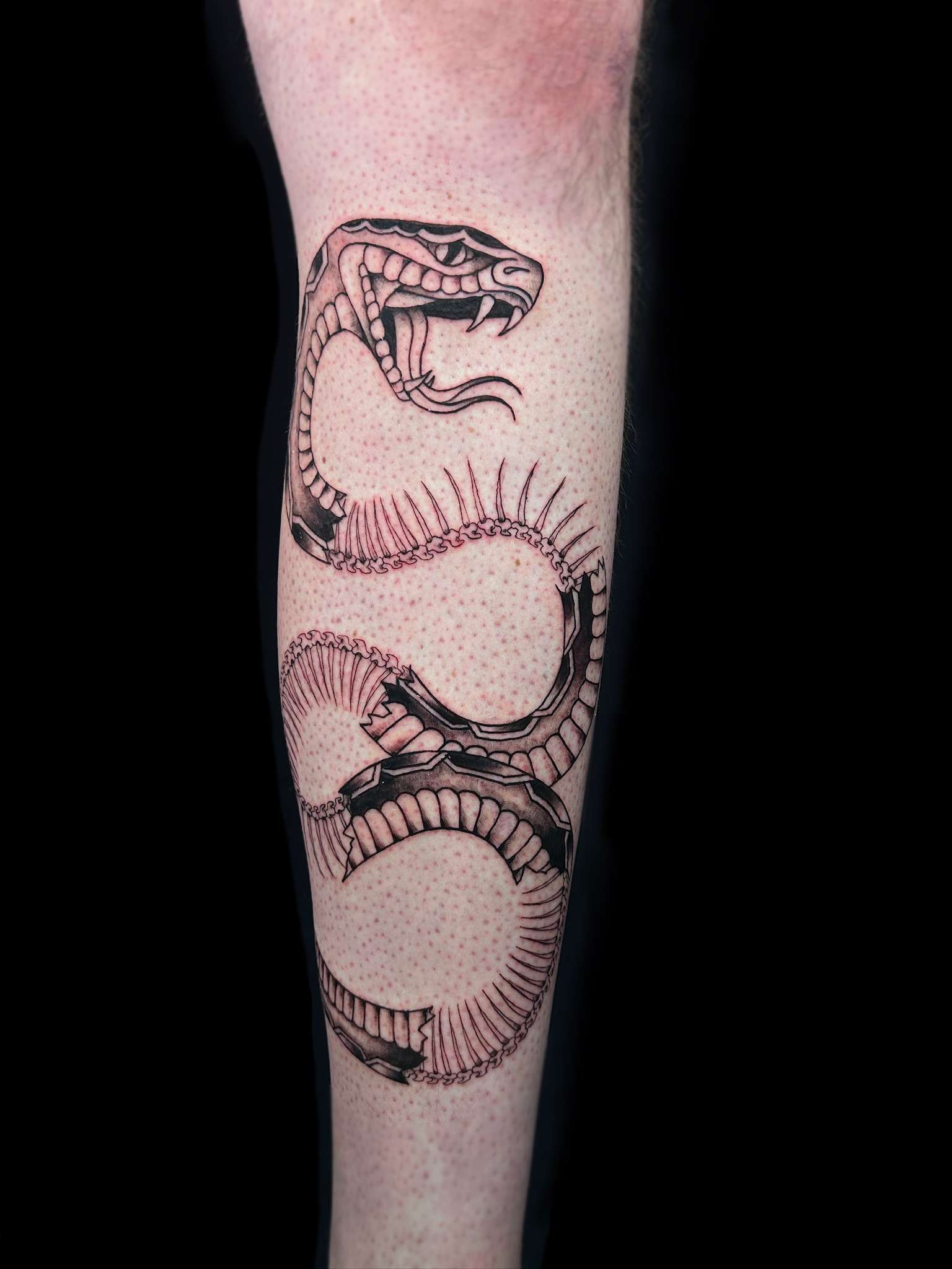 bg neo-traditional snake