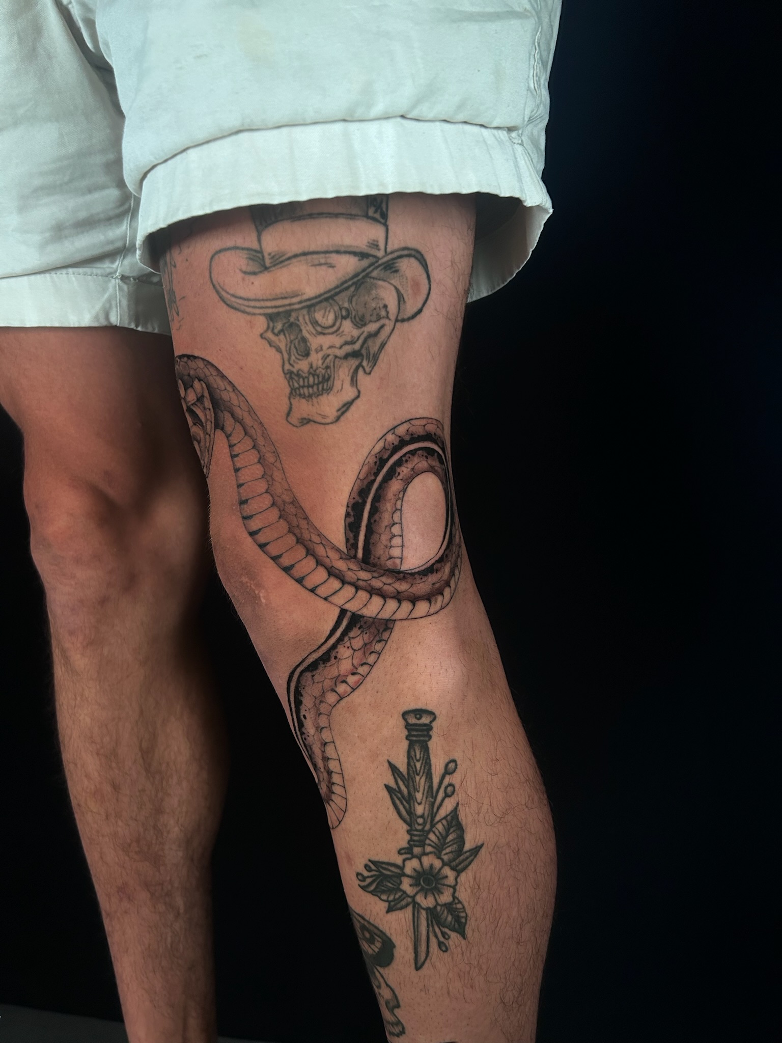 bg neo-traditional illustrative realism snake