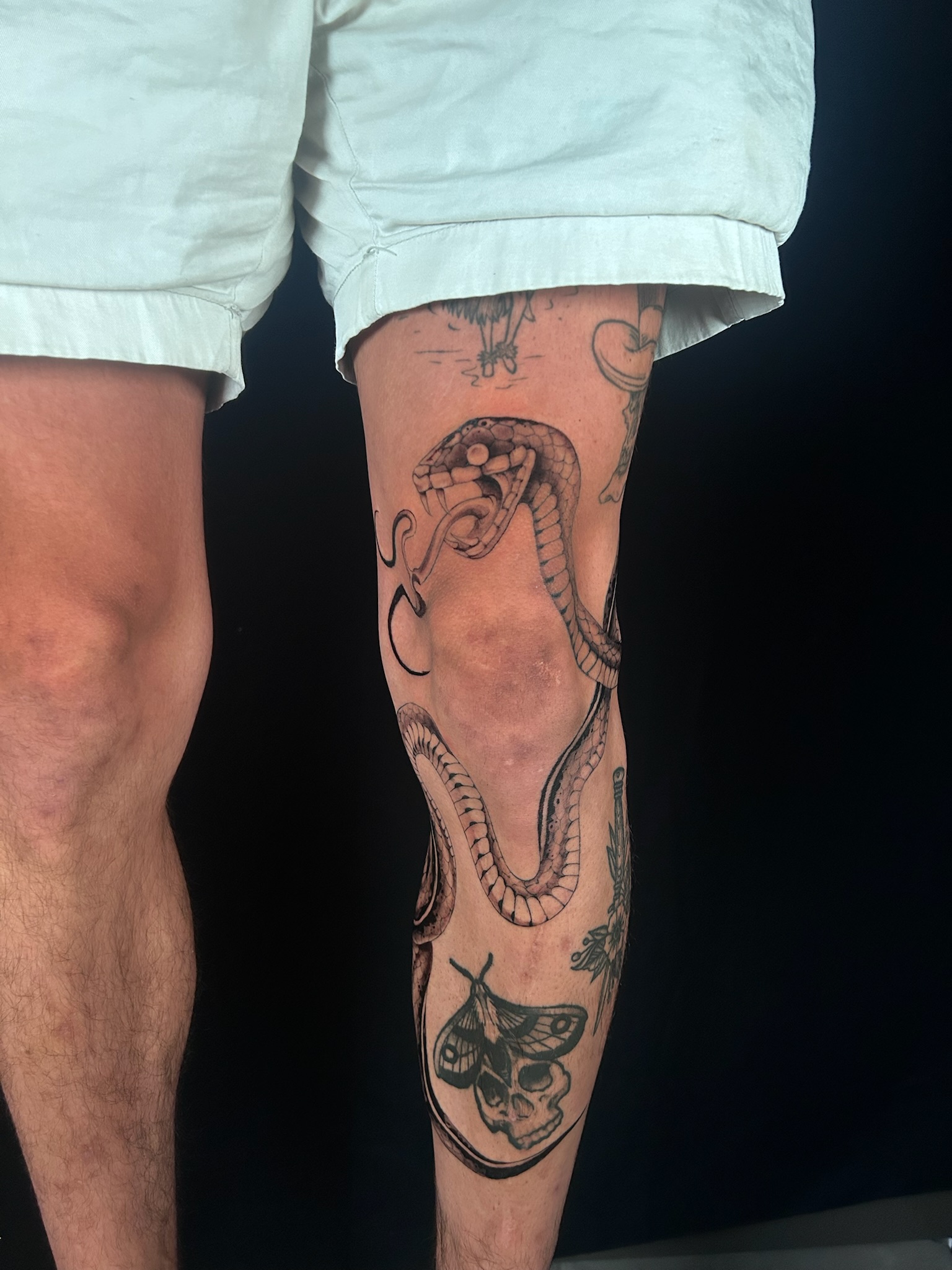 bg neo-traditional illustrative realism snake2