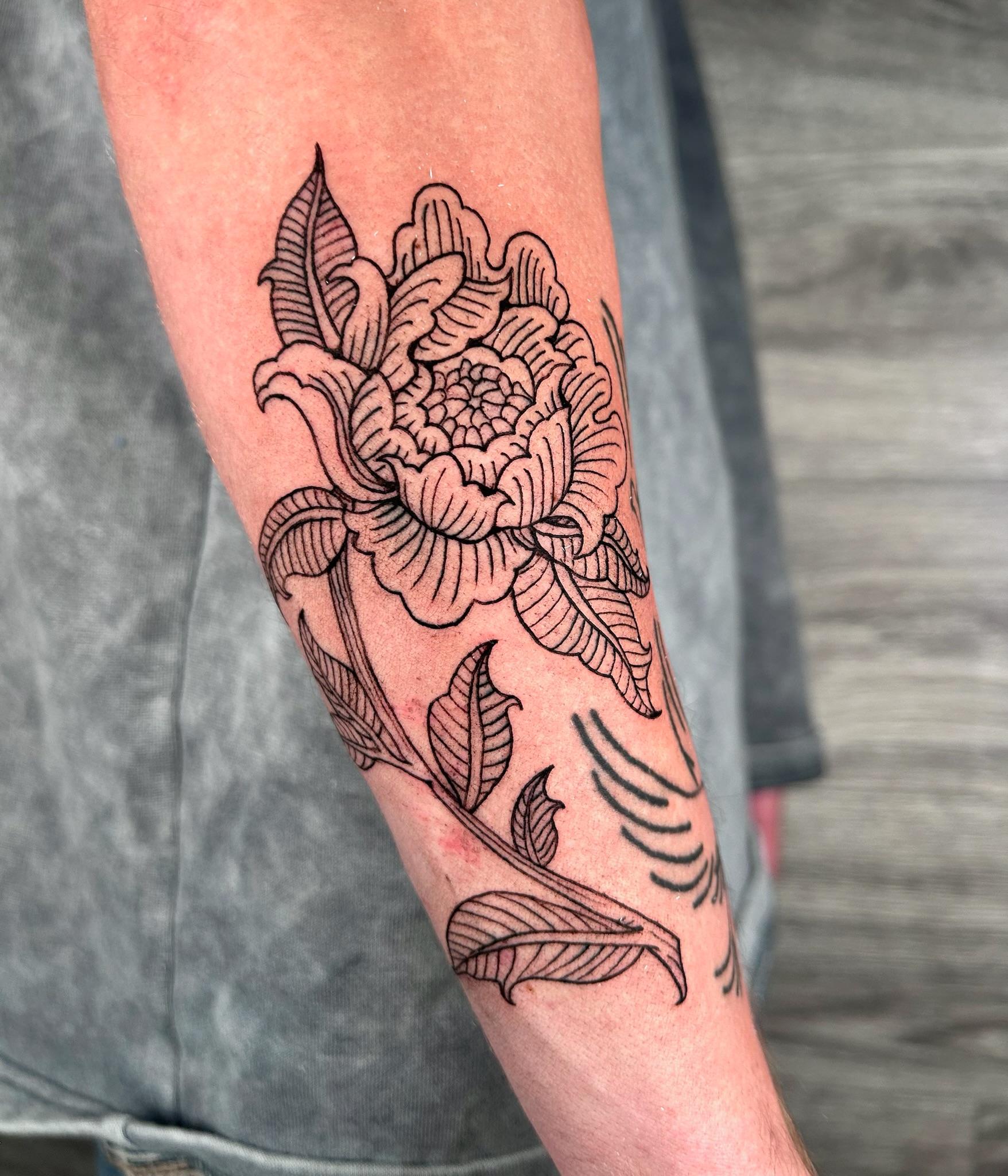 bg linework illustrative flower